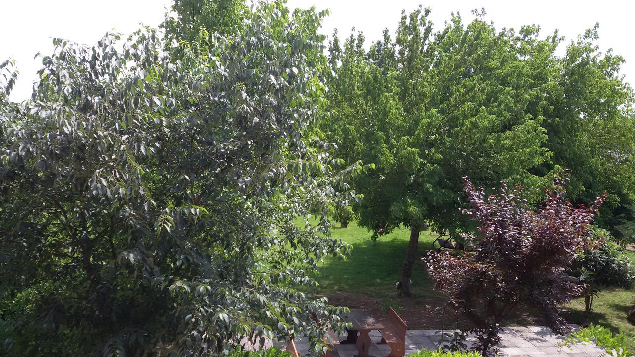 Agriturismo La Pace Villa Valeggio sul Mincio Eksteriør bilde
